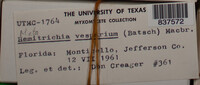 Image Associated With the Occurence